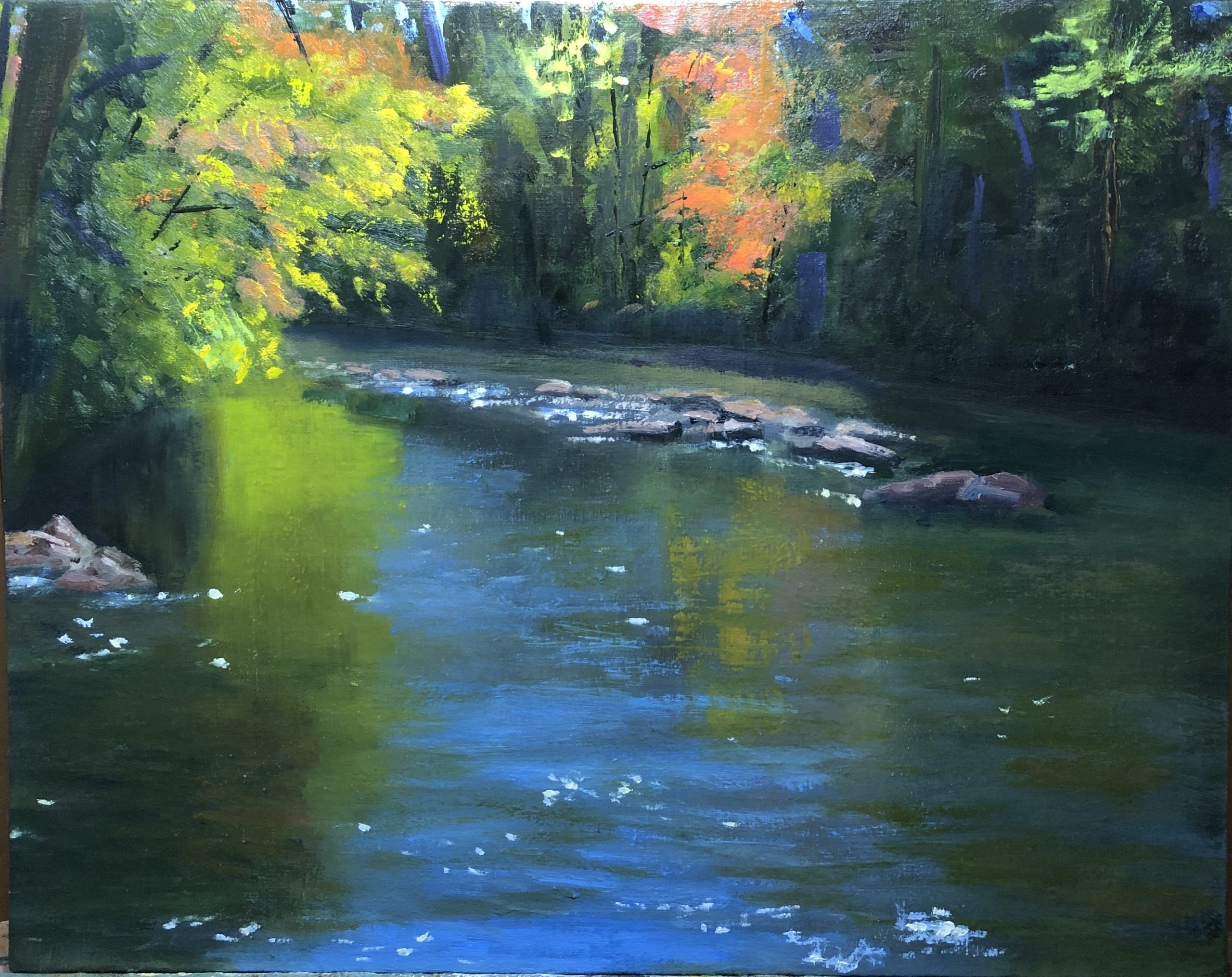 Fall Beginning on the Davidson River, NC