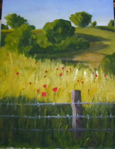 Poppy Field in the Wine Country