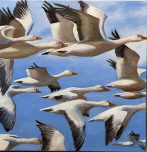 Flock