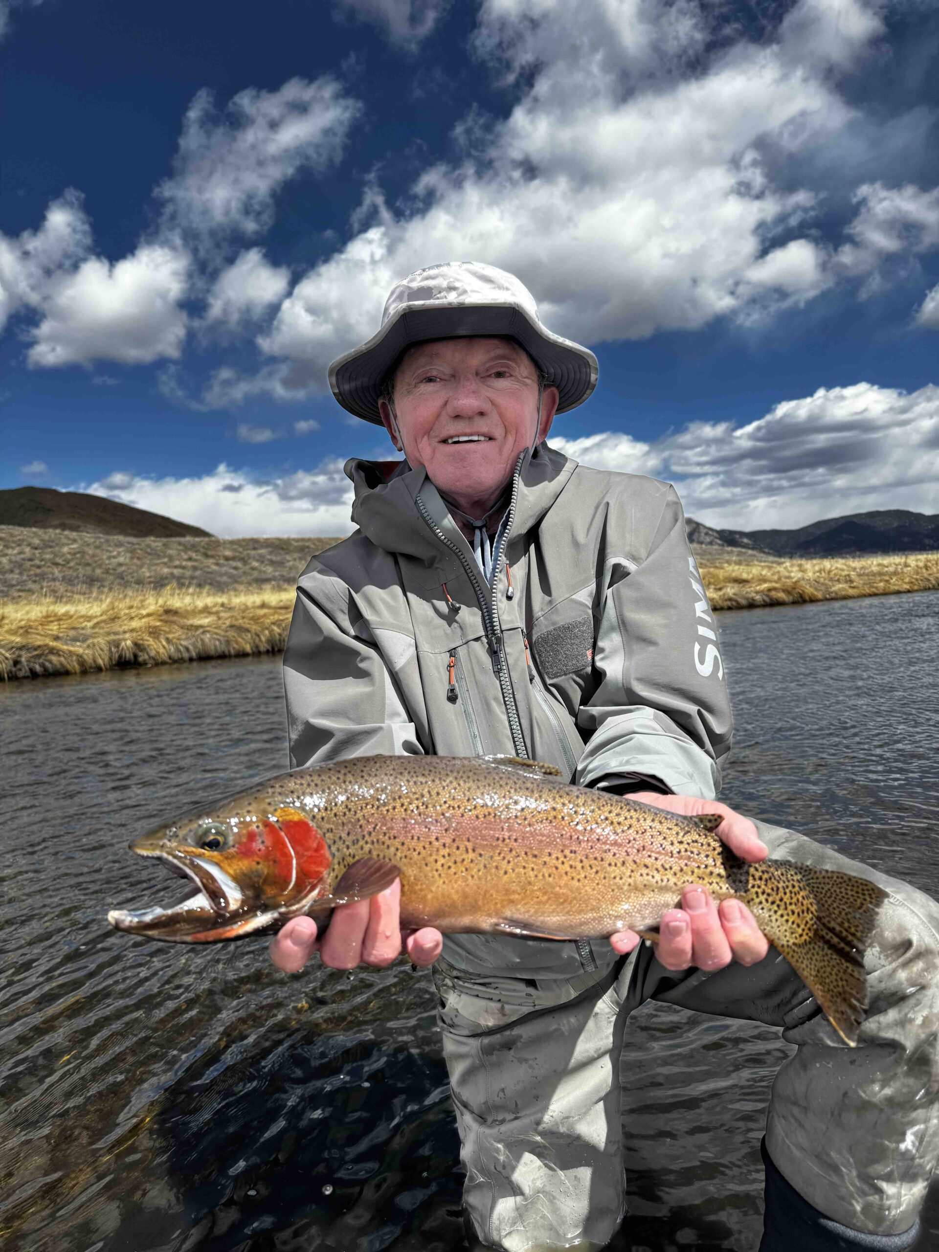 Dream Stream catch Dream Stream catch